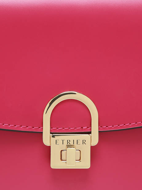 Sac Bandoulière Altair Cuir Etrier Rose altair EALA134X vue secondaire 5